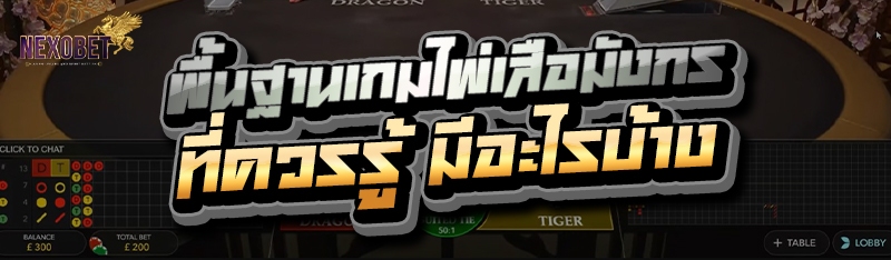 พื้นฐานเกมไพ่เสือมังกร